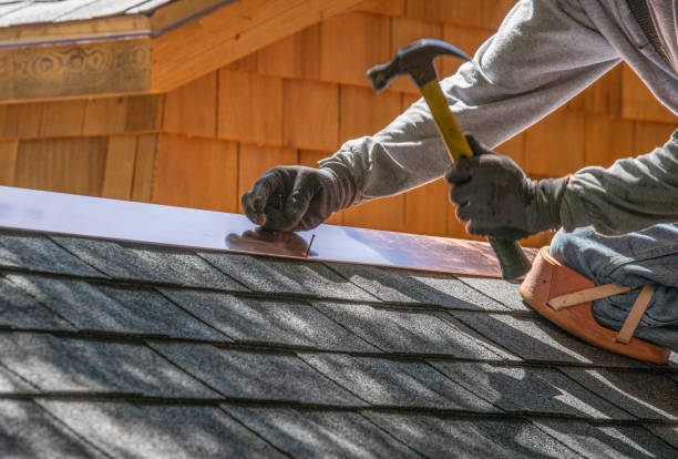 Best Asphalt Shingle Roofing  in Byron, IL