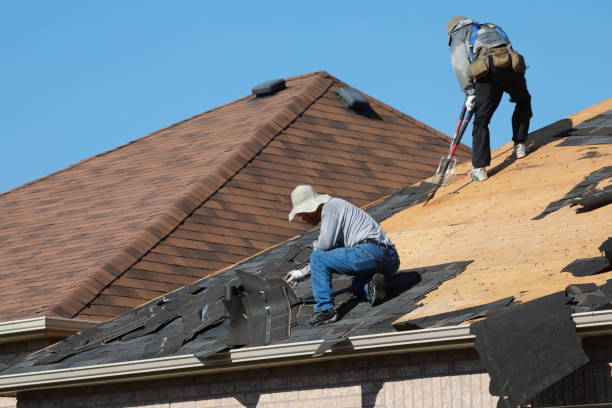 Best Roof Leak Repair  in Byron, IL