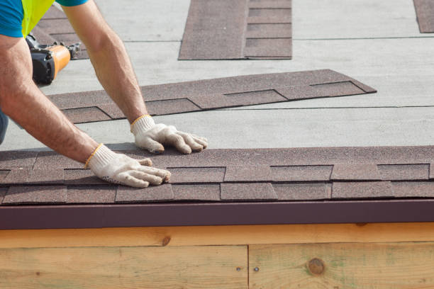Best Solar Panel Roofing Installation  in Byron, IL